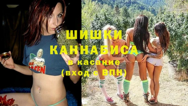 трава Богородицк