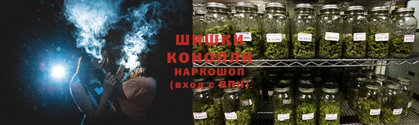 трава Богородицк